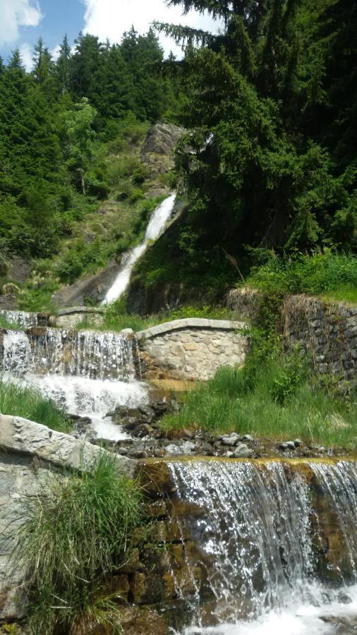 Saviore dell'Adamello Rifugio Stella Alpina酒店 外观 照片