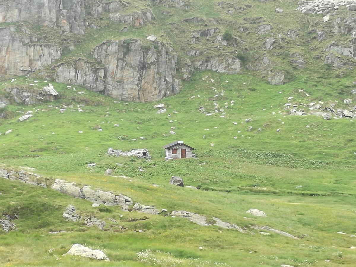 Saviore dell'Adamello Rifugio Stella Alpina酒店 外观 照片